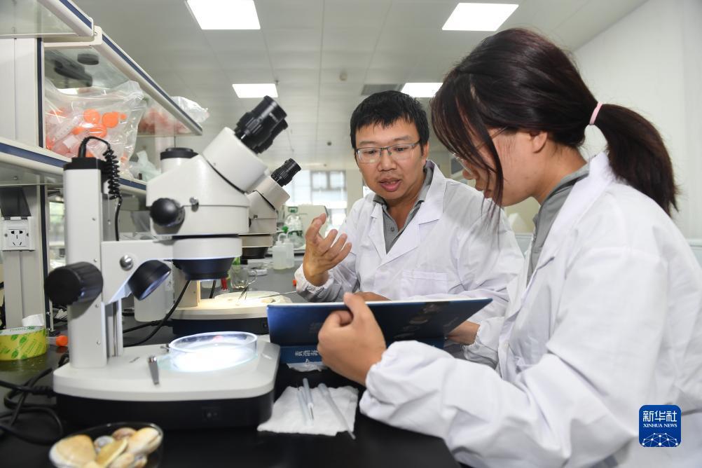捕鱼游戏大厅